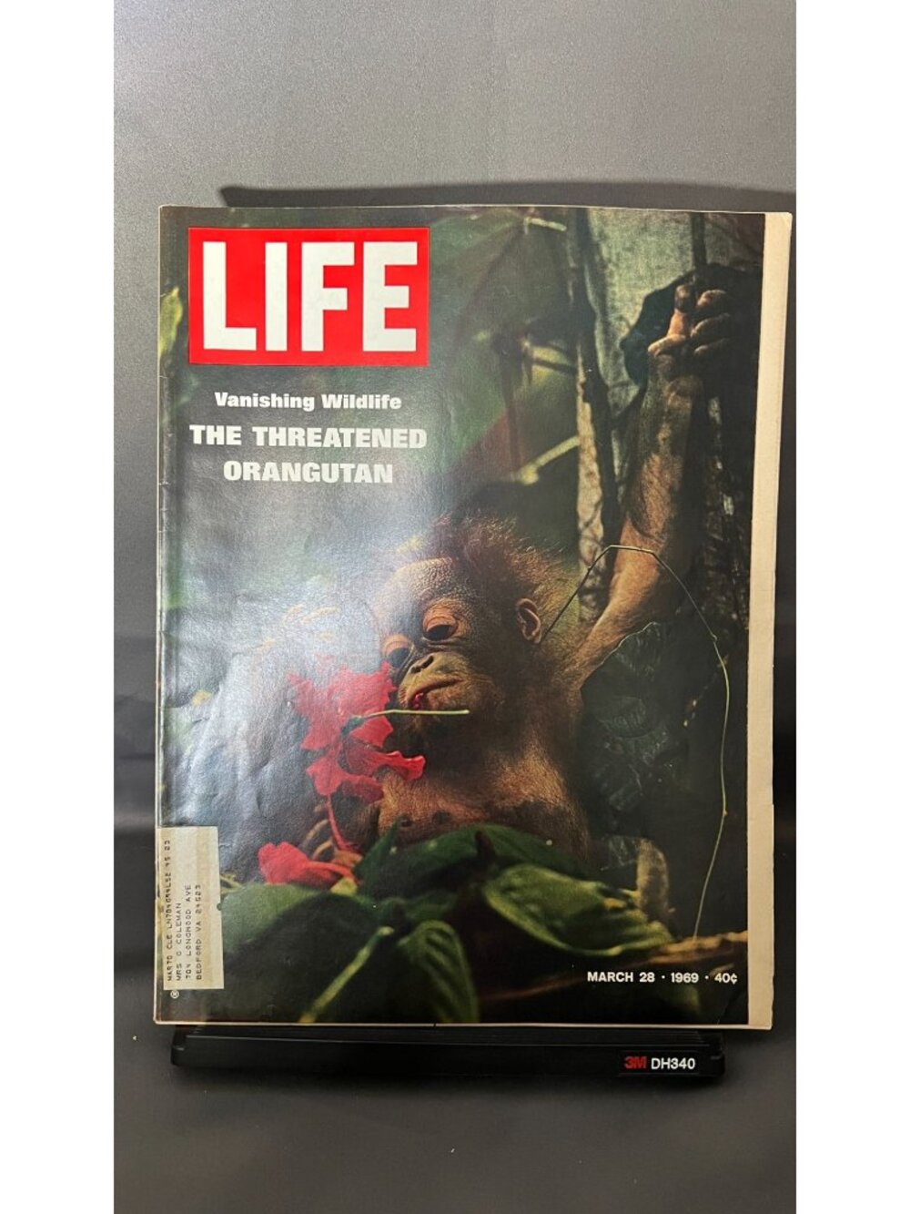 Life Magazine March 28 1969 The Threatened Orangutan